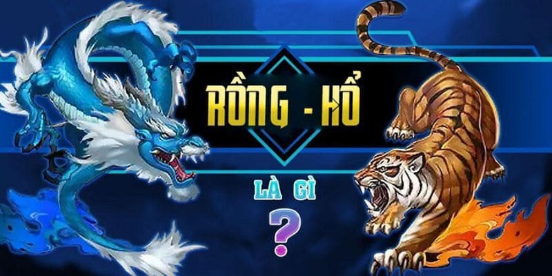 Rồng Hổ tại nhà cái 69win cực kỳ đẳng cấp